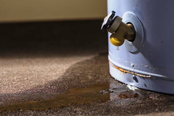 Best Carpet water damage restoration  in Ravenna, MI