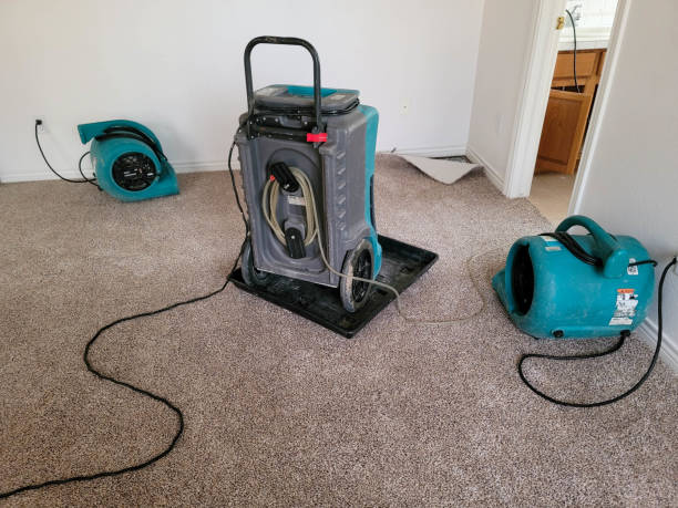 Professional Water damage restoration in Ravenna, MI