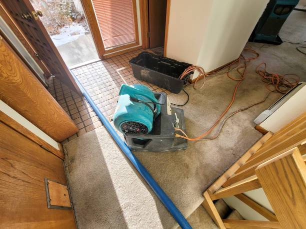 Best Flood damage cleanup  in Ravenna, MI