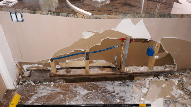 Best Ceiling water damage repair  in Ravenna, MI
