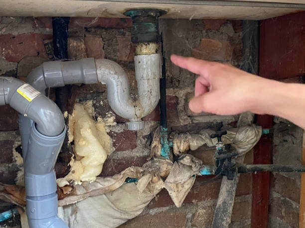 Best Flooded house restoration  in Ravenna, MI