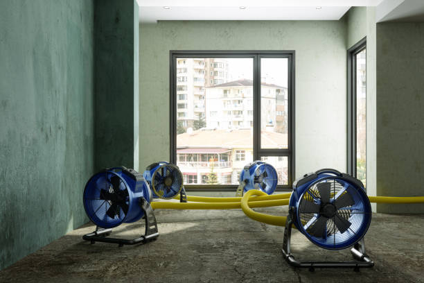 Best Water damage mitigation services  in Ravenna, MI
